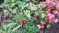 20161011093034618.jpg